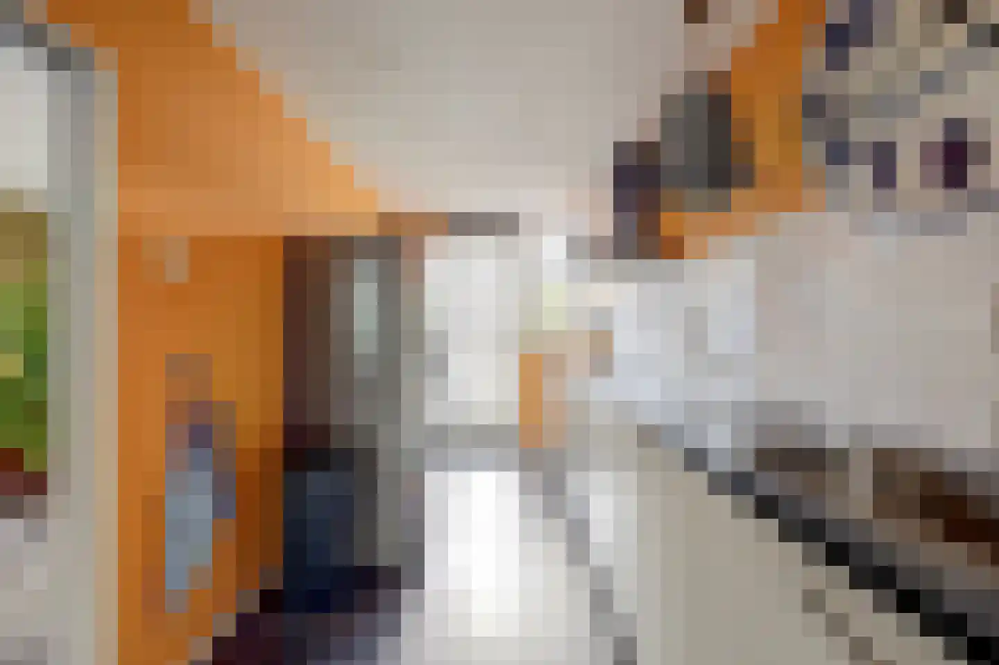 Irenestraat 7 Rozenburg thumbnail 12