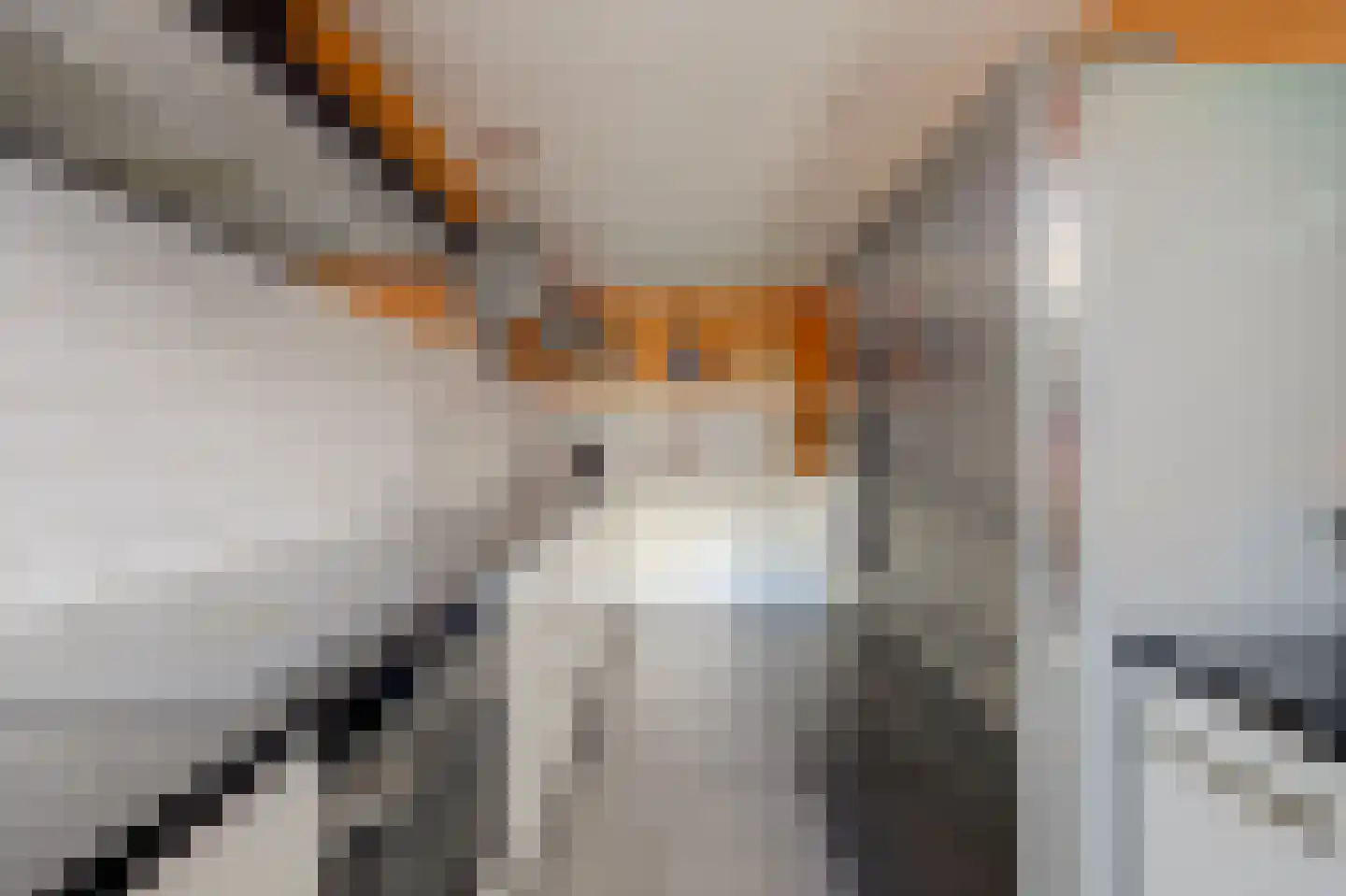Irenestraat 7 Rozenburg thumbnail 13