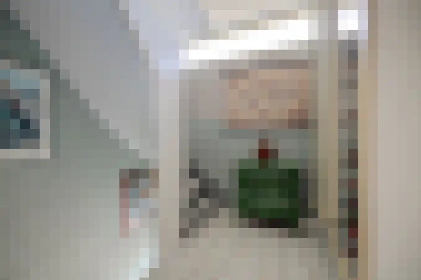 Irenestraat 7 Rozenburg thumbnail 17