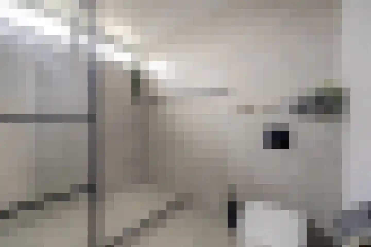 Irenestraat 7 Rozenburg thumbnail 23