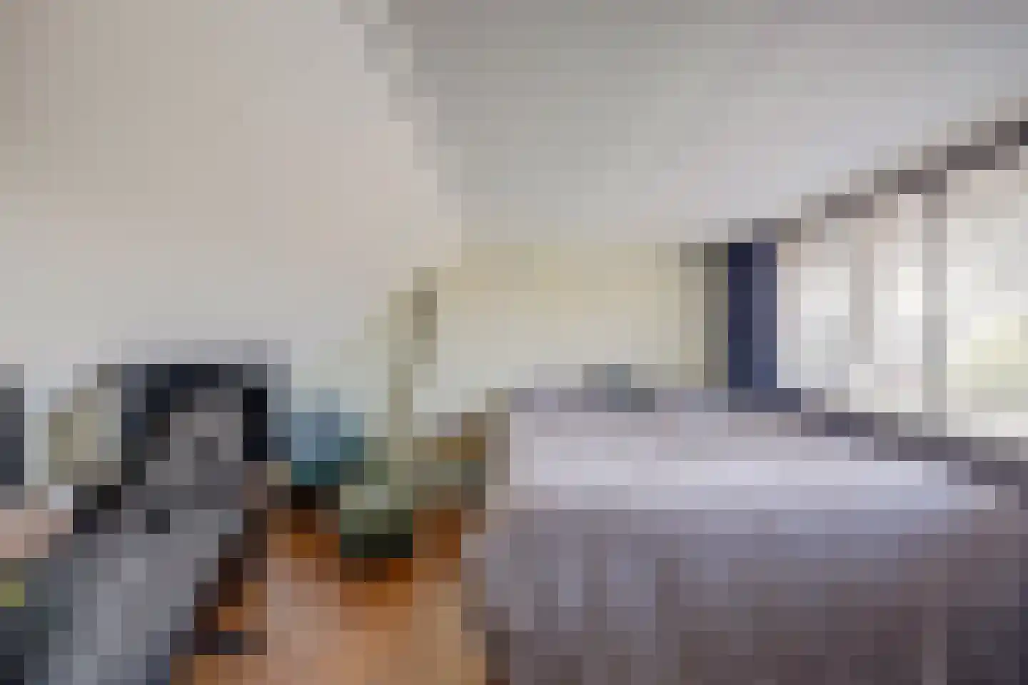 Irenestraat 7 Rozenburg thumbnail 28