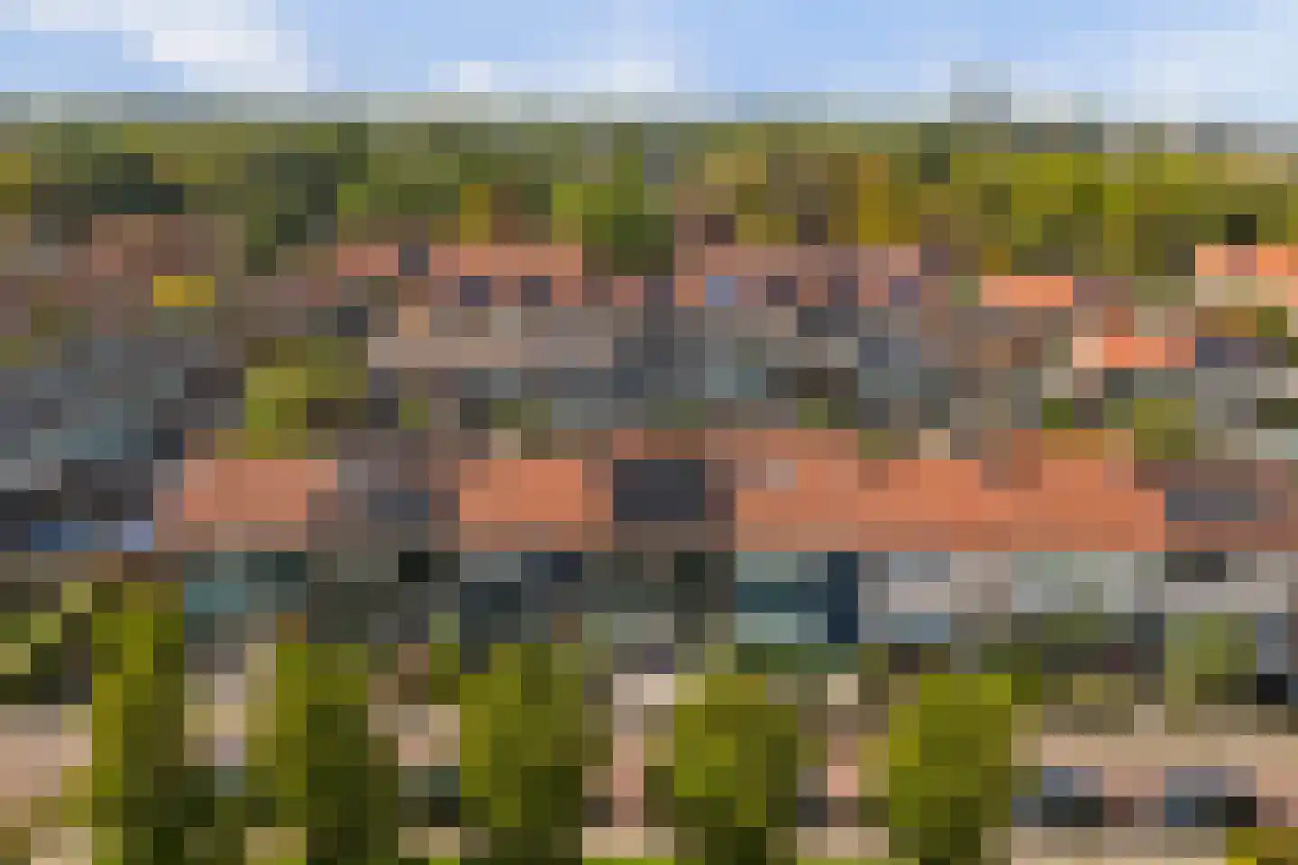 Irenestraat 7 Rozenburg thumbnail 36