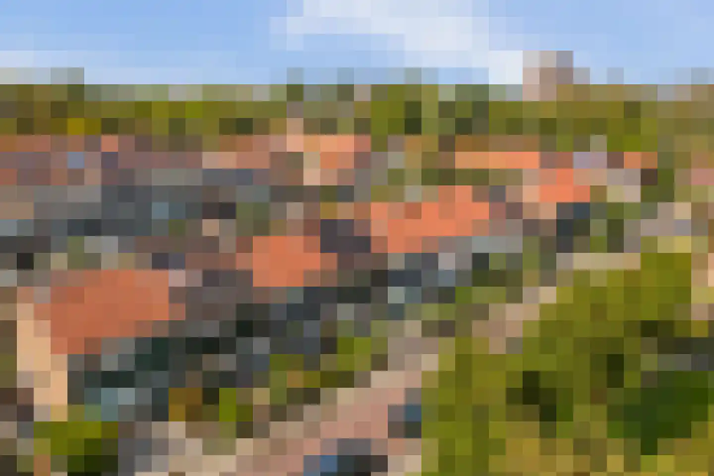 Irenestraat 7 Rozenburg thumbnail 37