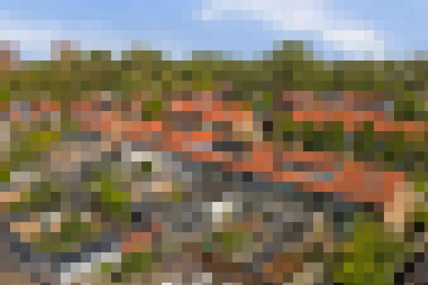Irenestraat 7 Rozenburg thumbnail 40