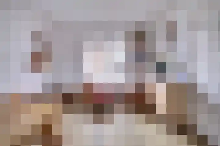 Irenestraat 7 Scharendijke thumbnail 12
