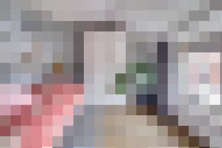 Irenestraat 7 Scharendijke thumbnail 18