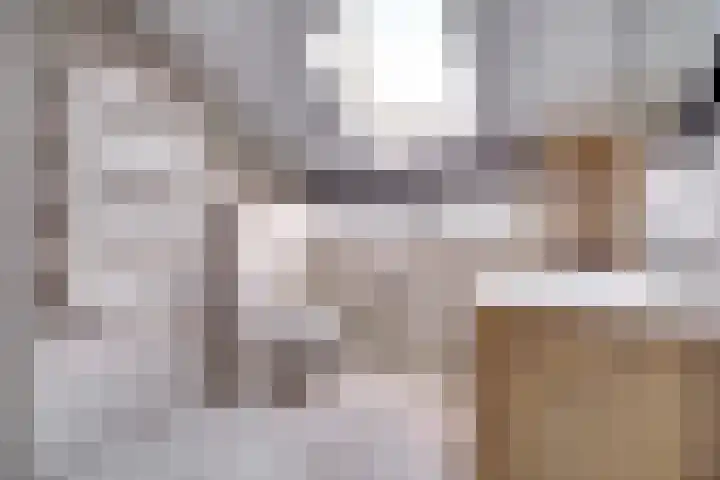 Irenestraat 7 Scharendijke thumbnail 20