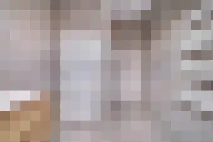Irenestraat 7 Scharendijke thumbnail 22