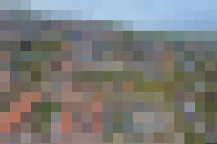 Irenestraat 7 Scharendijke thumbnail 36