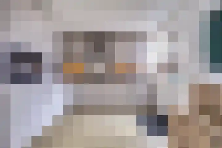 Irenestraat 7 Scharendijke thumbnail 7