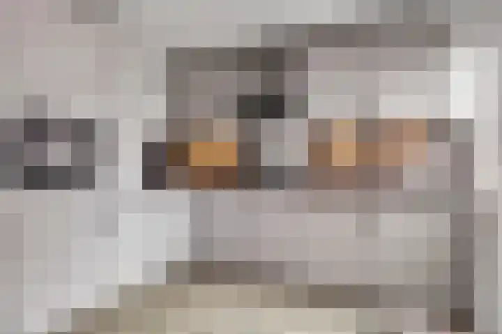 Irenestraat 7 Scharendijke thumbnail 8