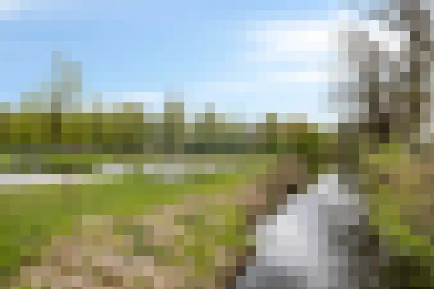 Irenestraat 7 Sint-Oedenrode thumbnail 33