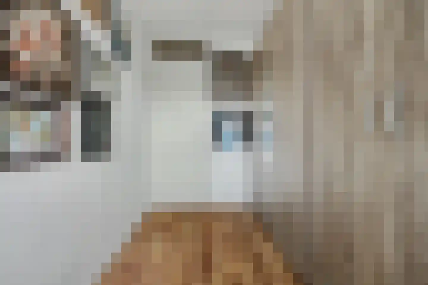 Irenestraat 7 Zonnemaire thumbnail 14