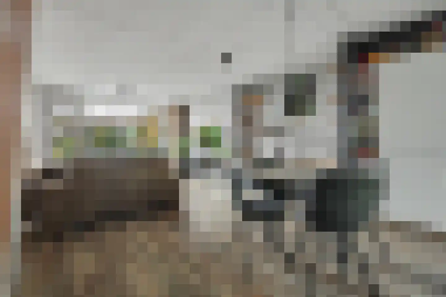 Irenestraat 7 Zonnemaire thumbnail 5