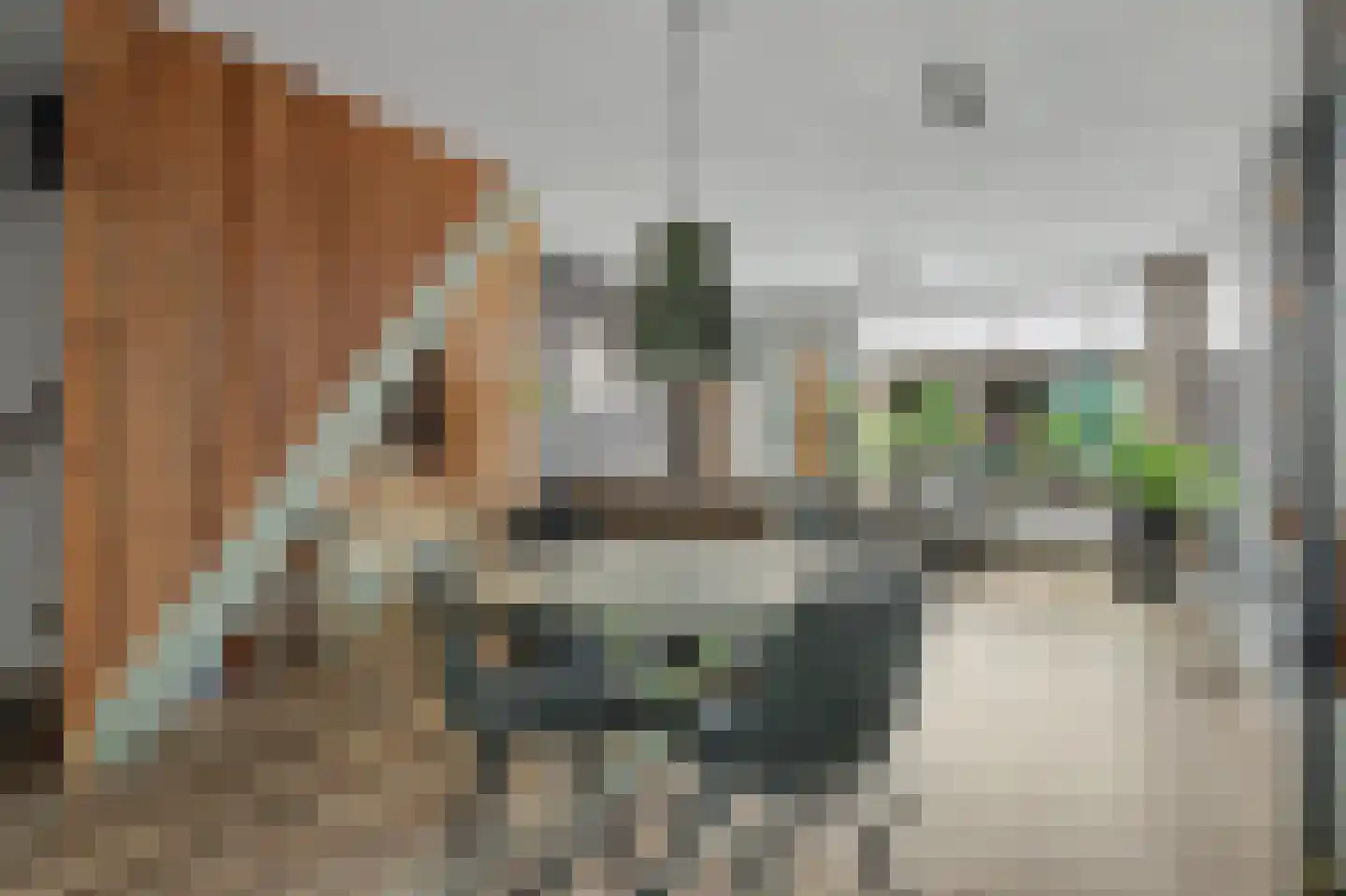 Irenestraat 7 Zonnemaire thumbnail 7