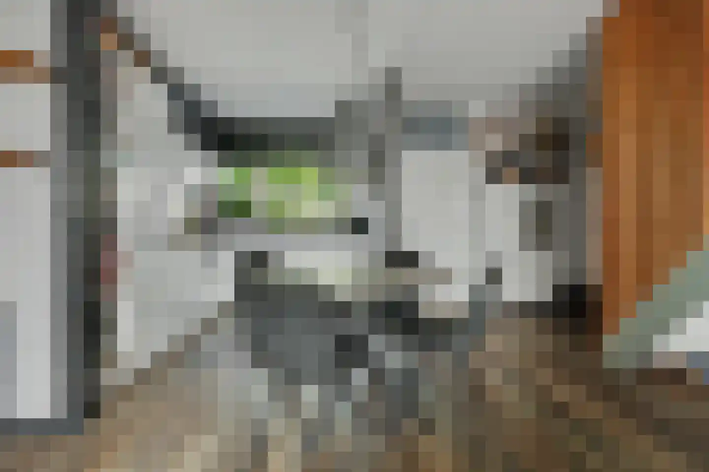 Irenestraat 7 Zonnemaire thumbnail 8