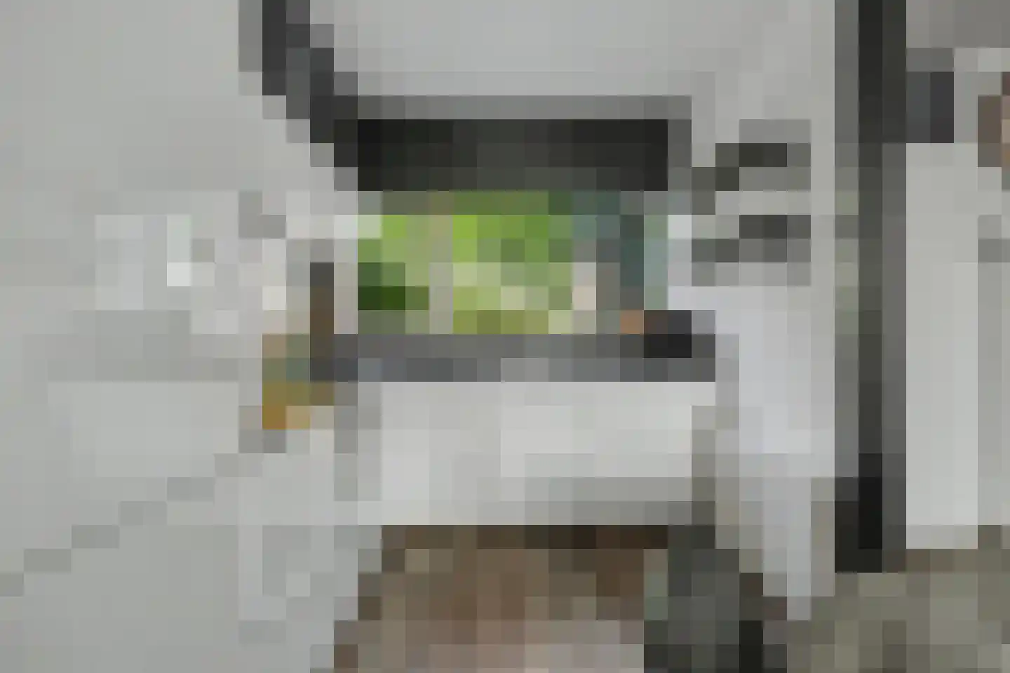 Irenestraat 7 Zonnemaire thumbnail 9