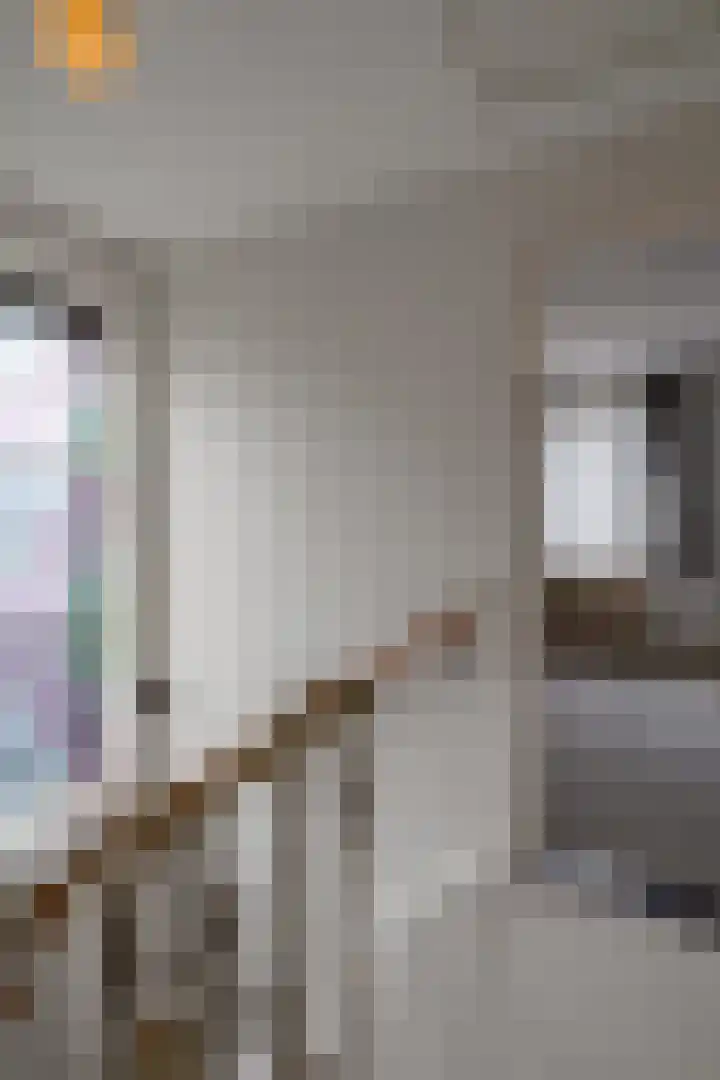 Irenestraat 8 Beek thumbnail 17
