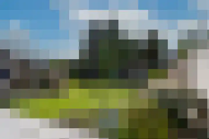 Irenestraat 8 Beek thumbnail 33