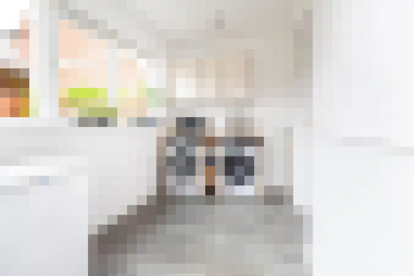Irenestraat 8 Dinxperlo thumbnail 16