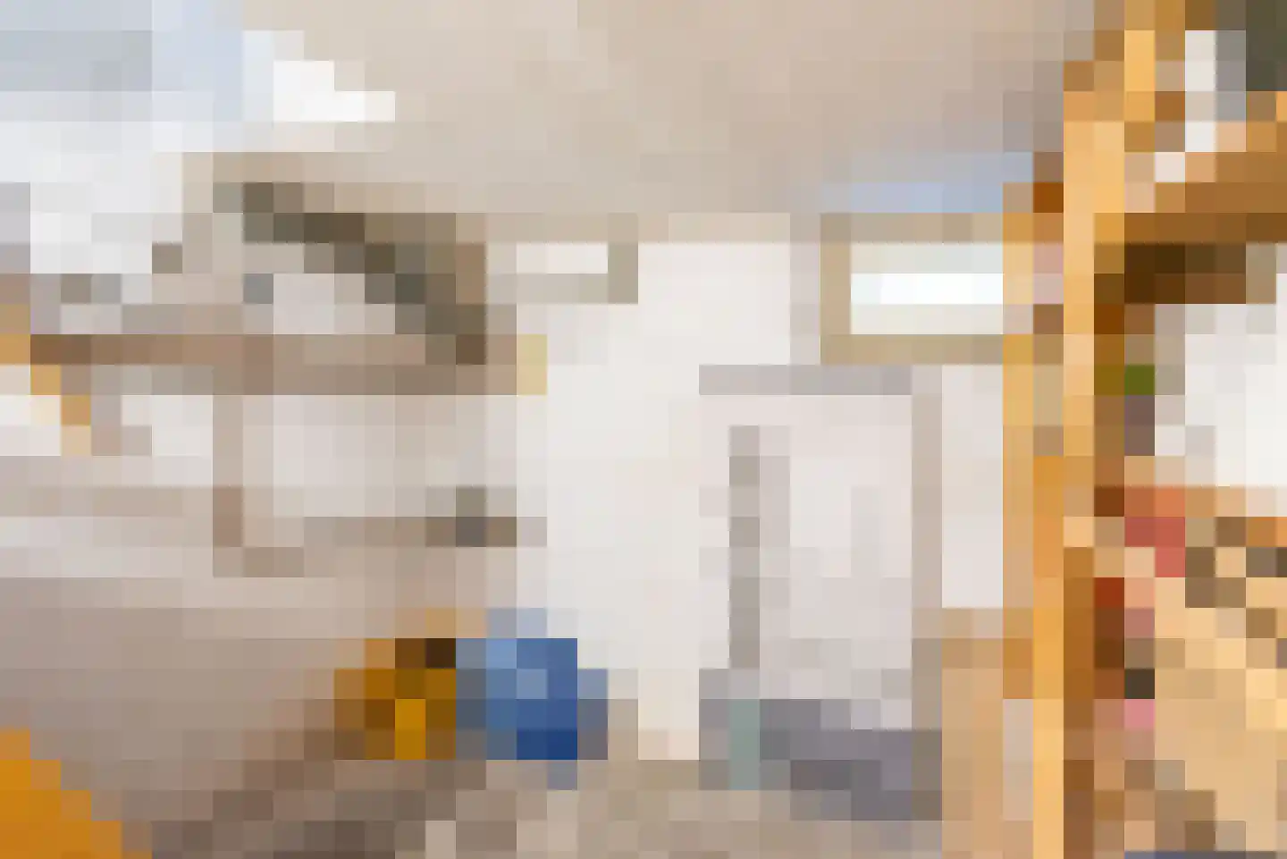 Irenestraat 8 Dinxperlo thumbnail 19