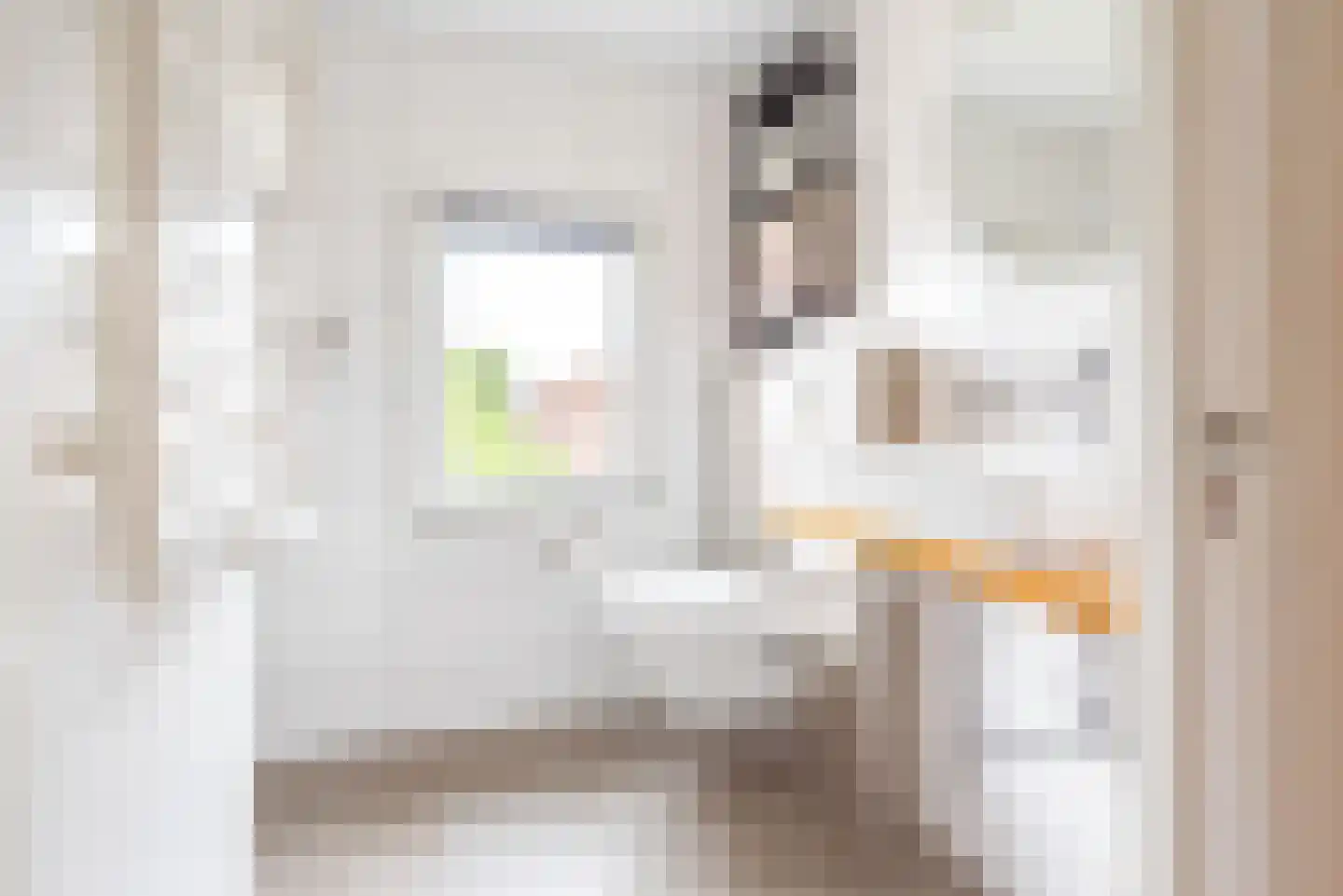 Irenestraat 8 Dinxperlo thumbnail 27