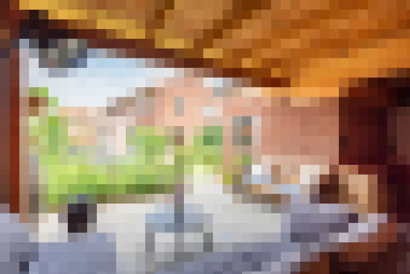Irenestraat 8 Dinxperlo thumbnail 36