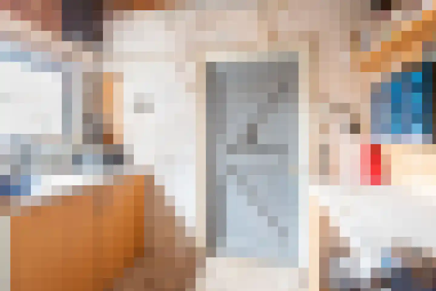 Irenestraat 8 Dinxperlo thumbnail 38