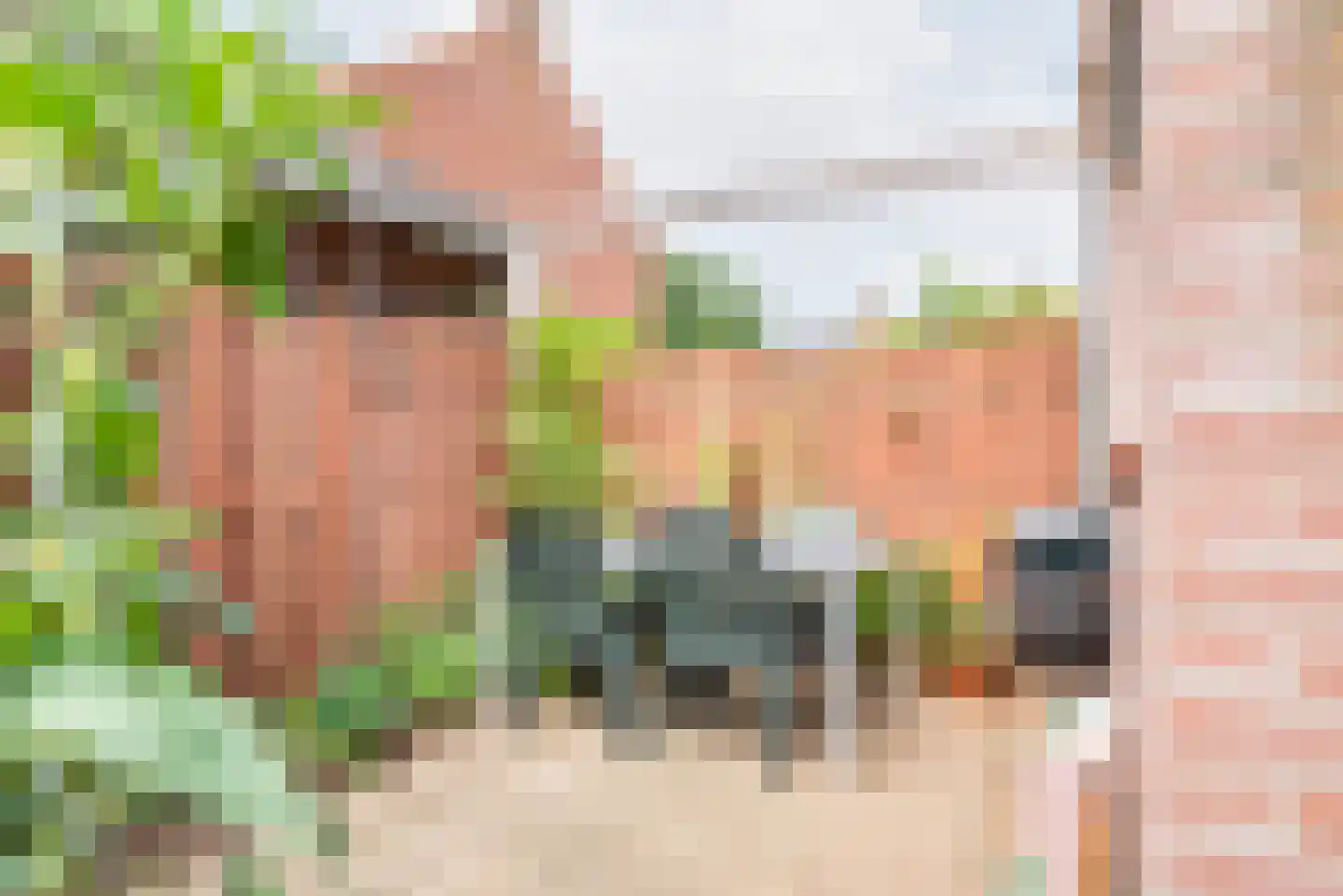Irenestraat 8 Dinxperlo thumbnail 42