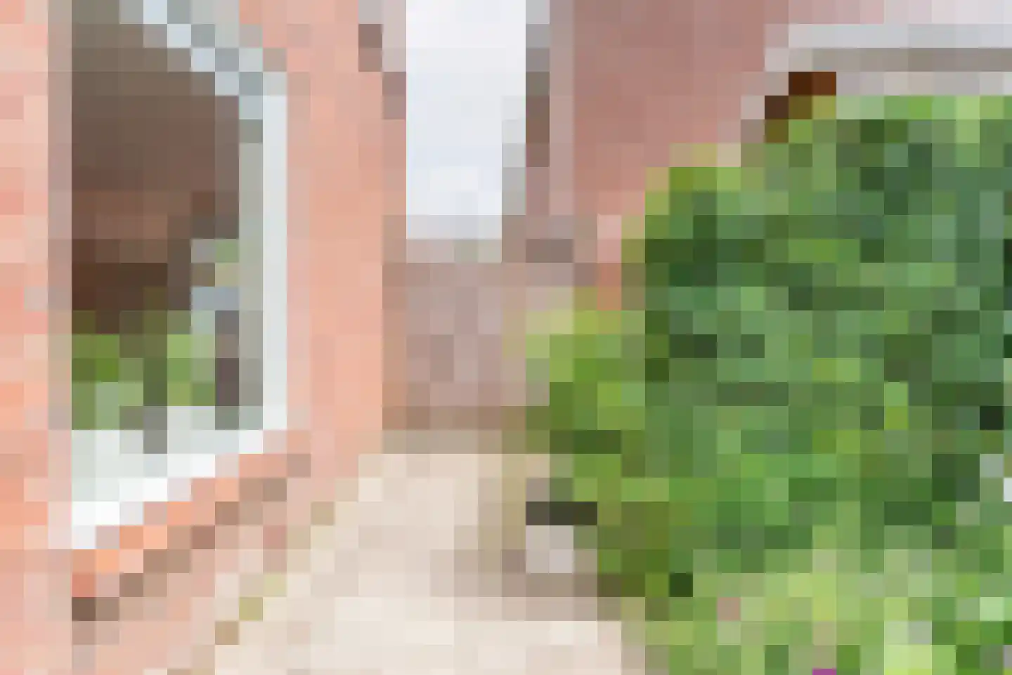 Irenestraat 8 Dinxperlo thumbnail 43