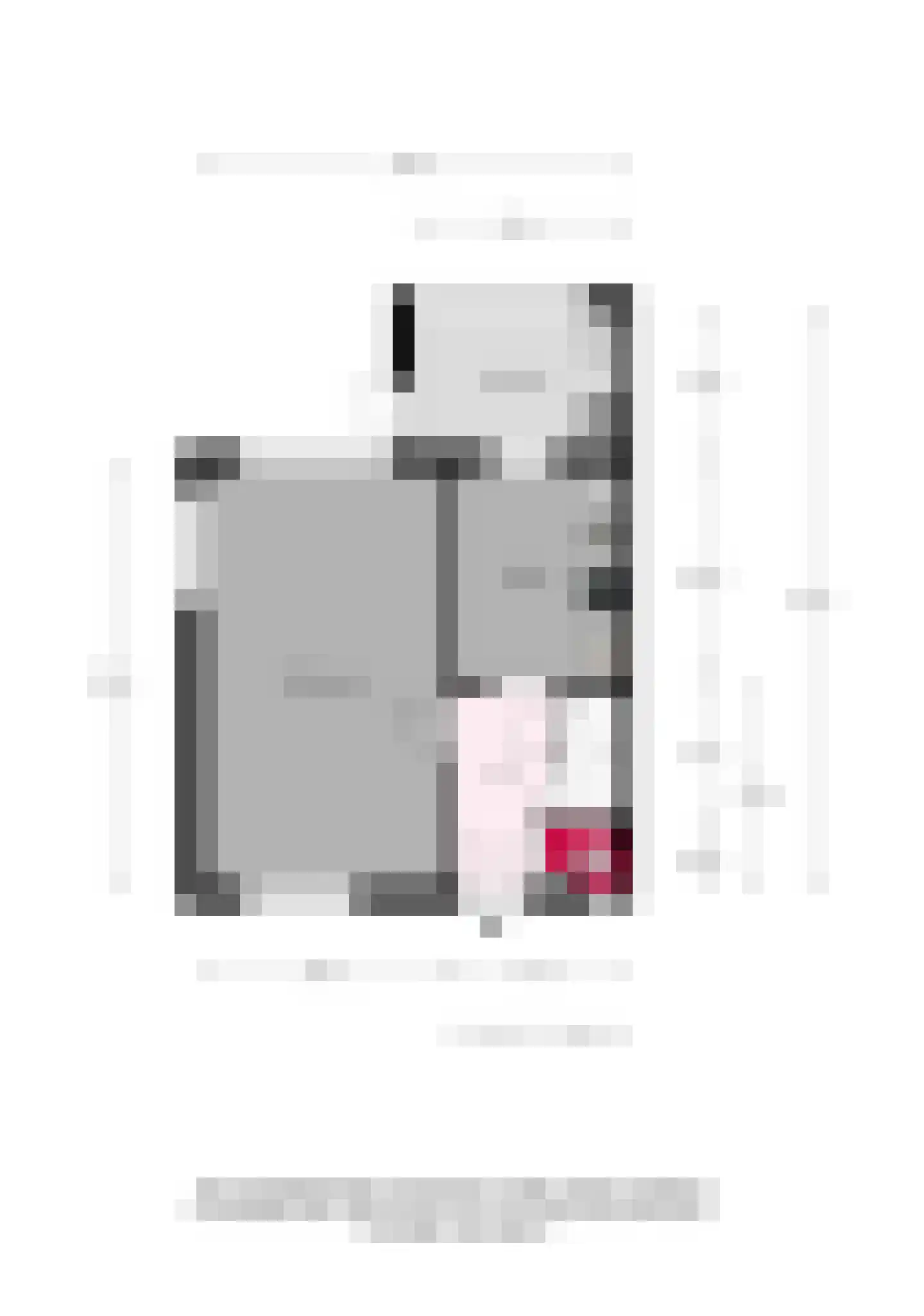Irenestraat 8 Dinxperlo thumbnail 50