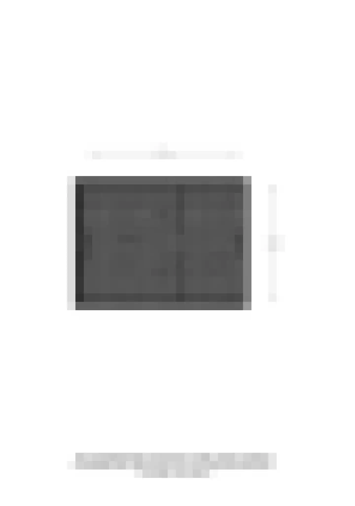 Irenestraat 8 Dinxperlo thumbnail 52