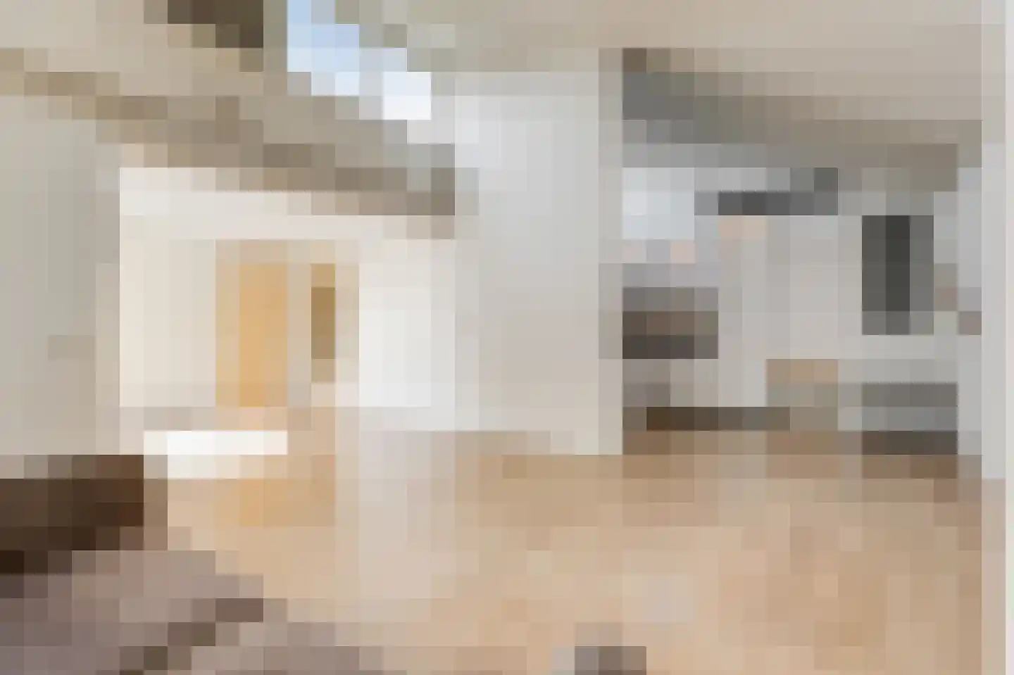 Irenestraat 8 Duiven thumbnail 19