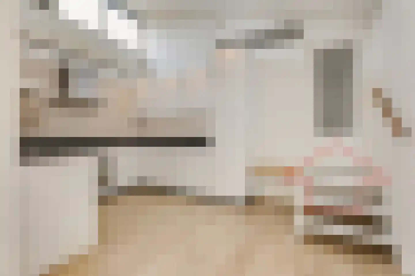 Irenestraat 8 Duiven thumbnail 23