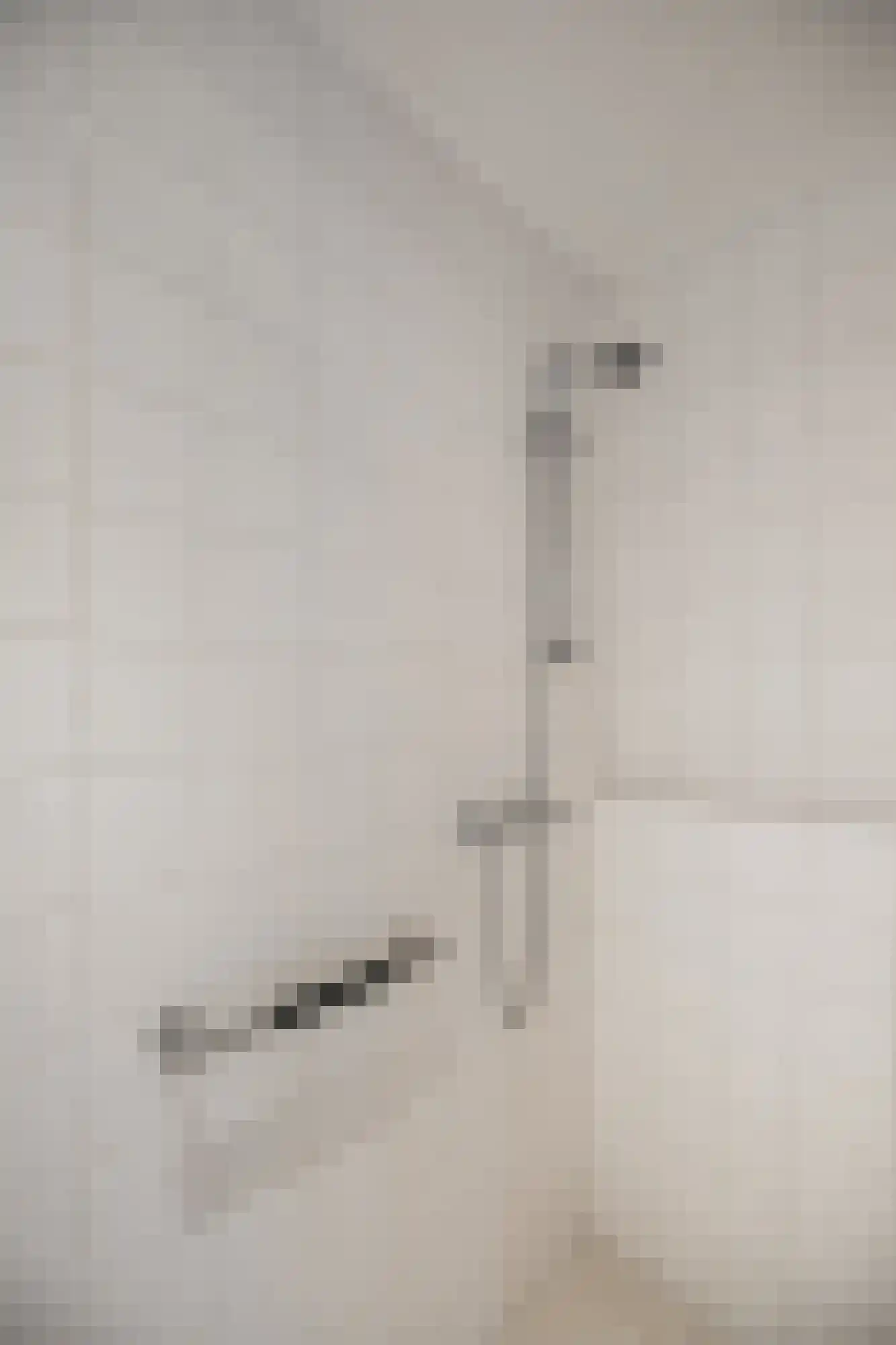 Irenestraat 8 Duiven thumbnail 35