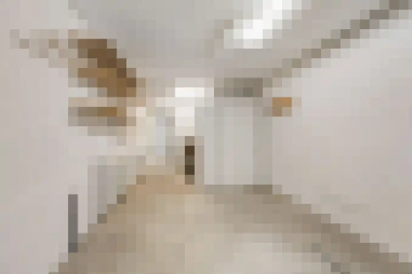 Irenestraat 8 Duiven thumbnail 38