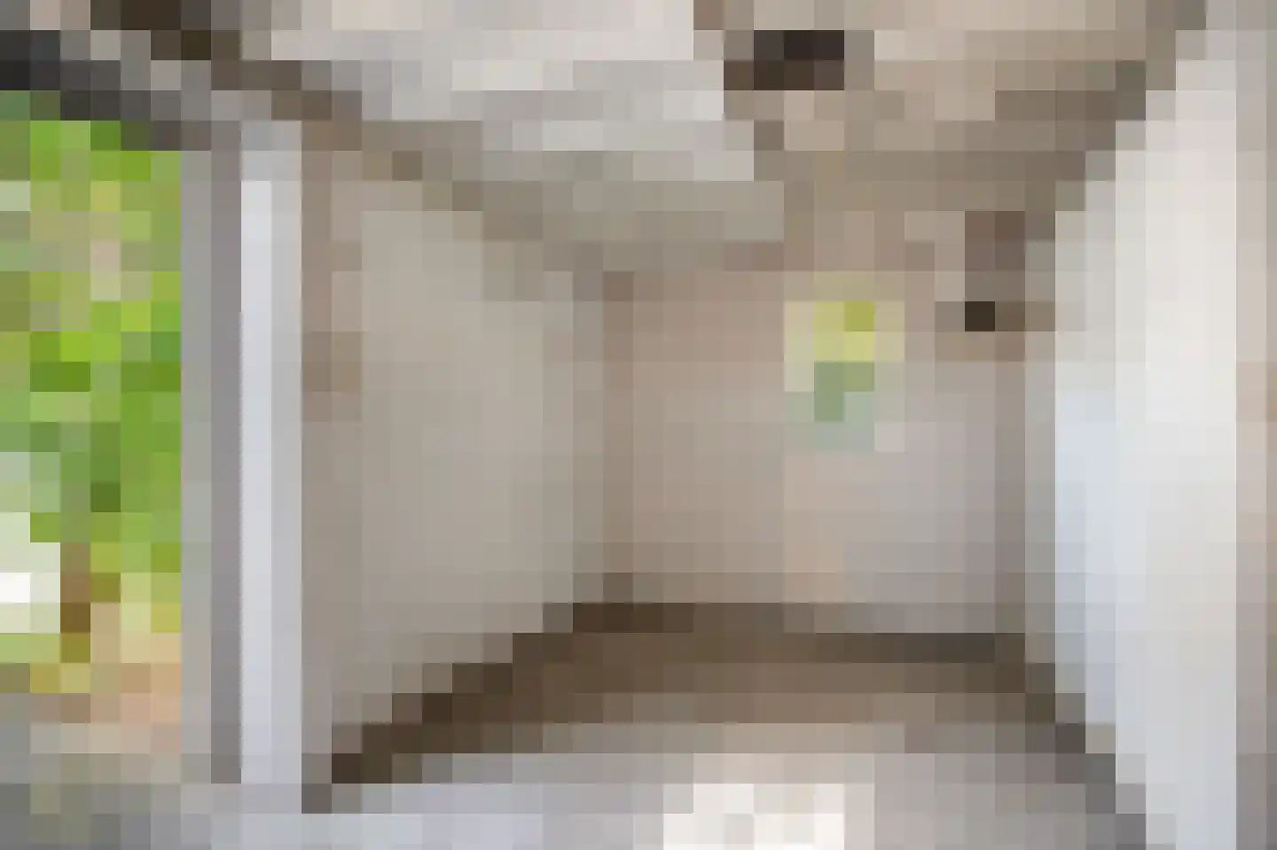 Irenestraat 8 Duiven thumbnail 39