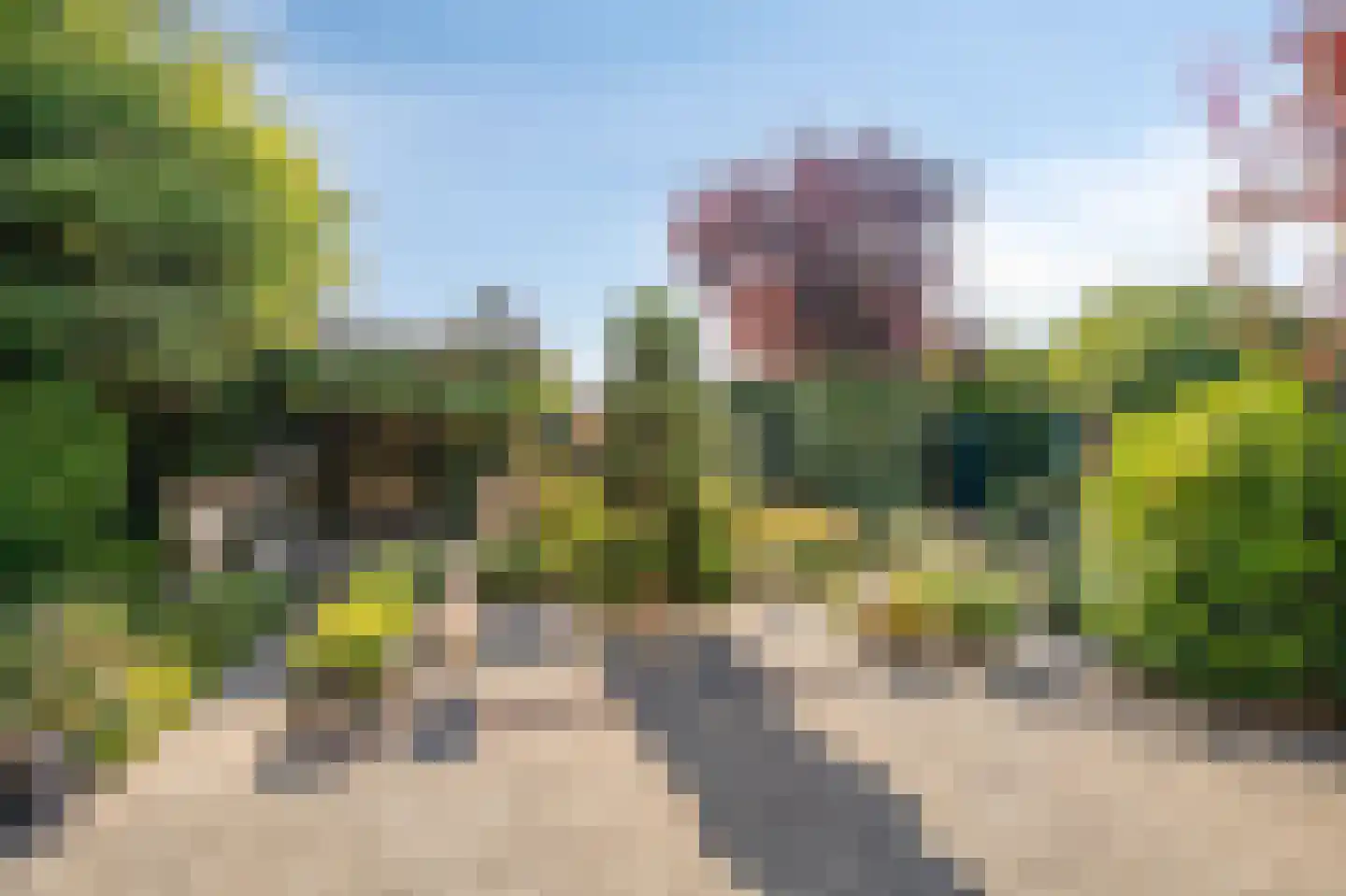 Irenestraat 8 Duiven thumbnail 43