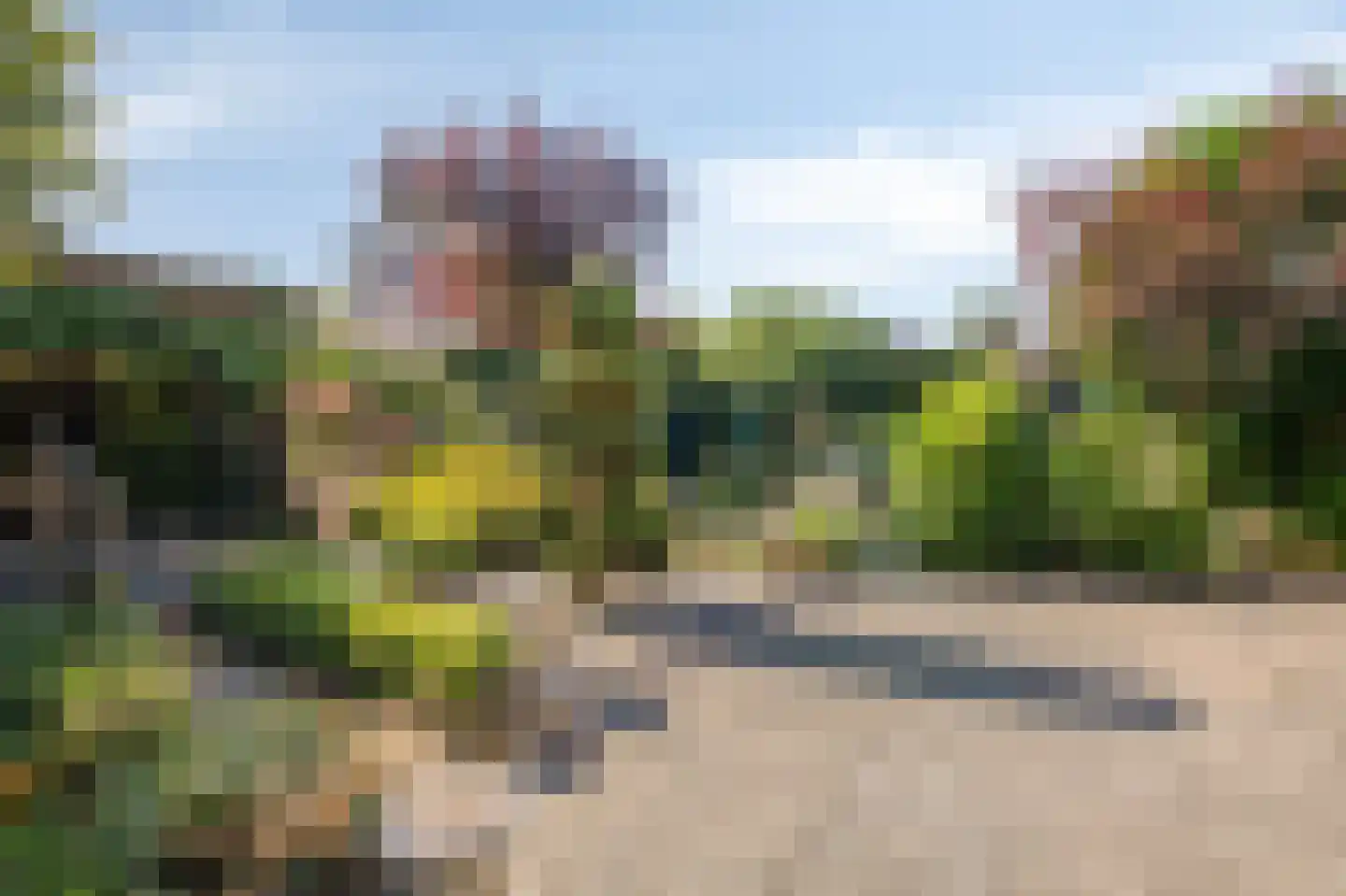 Irenestraat 8 Duiven thumbnail 44