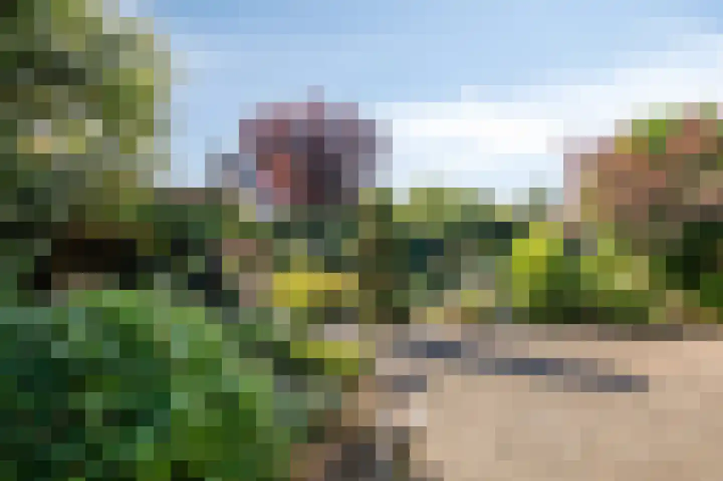 Irenestraat 8 Duiven thumbnail 45