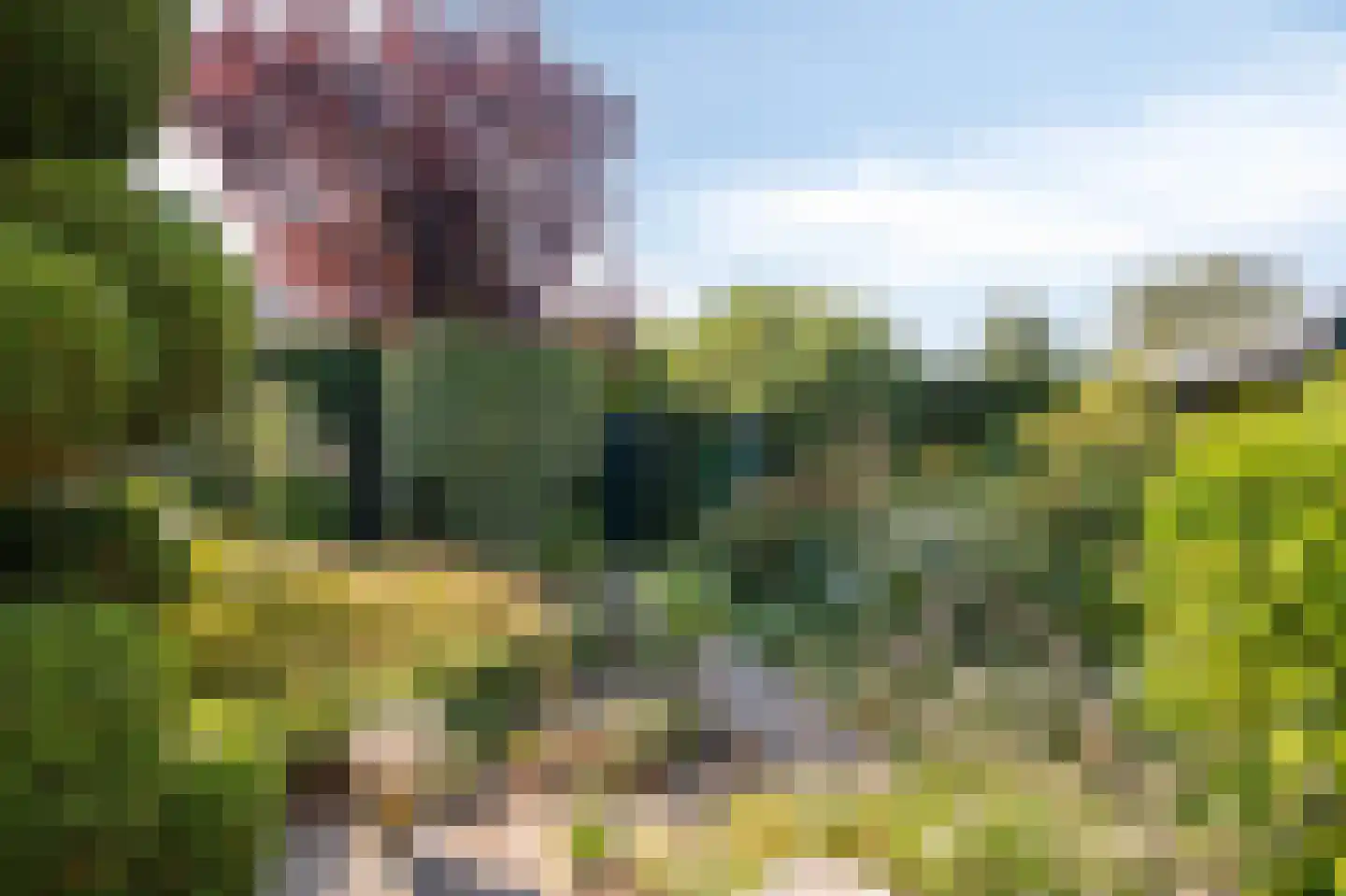 Irenestraat 8 Duiven thumbnail 46