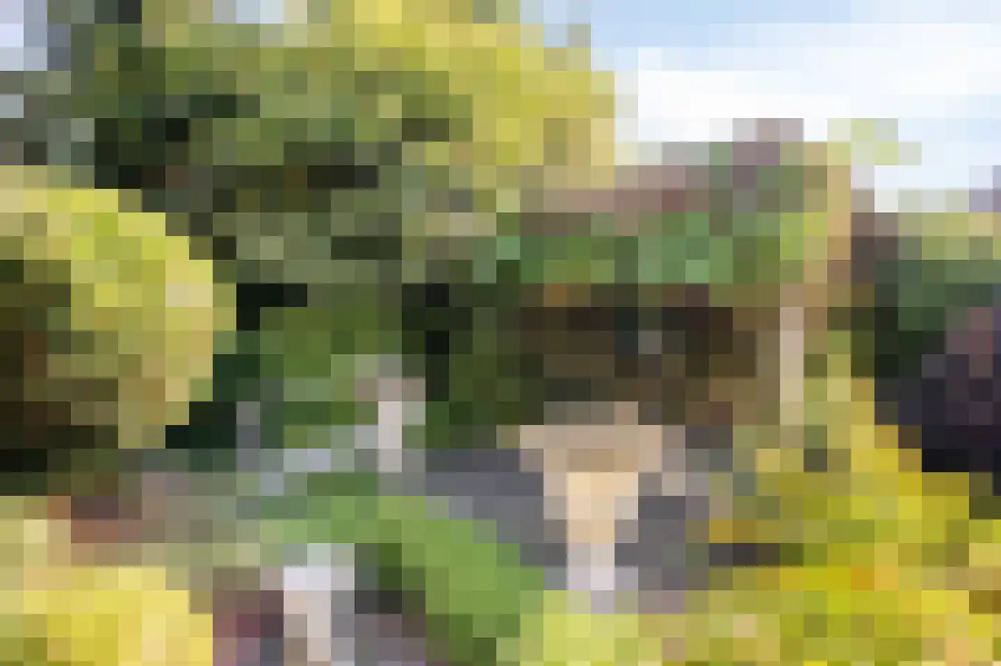 Irenestraat 8 Duiven thumbnail 47