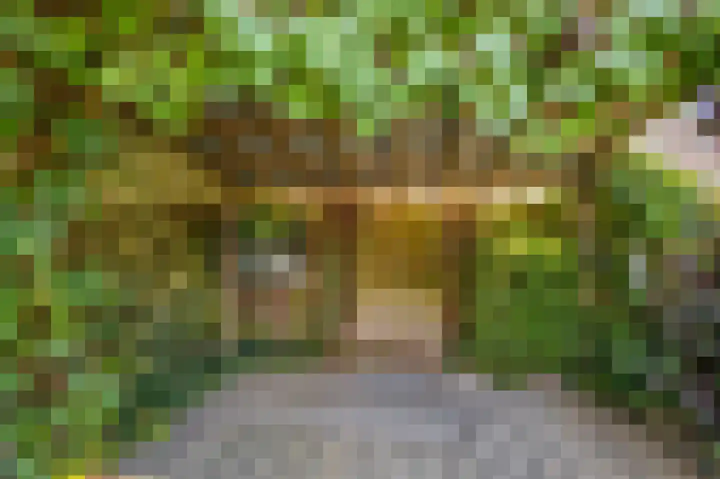 Irenestraat 8 Duiven thumbnail 48