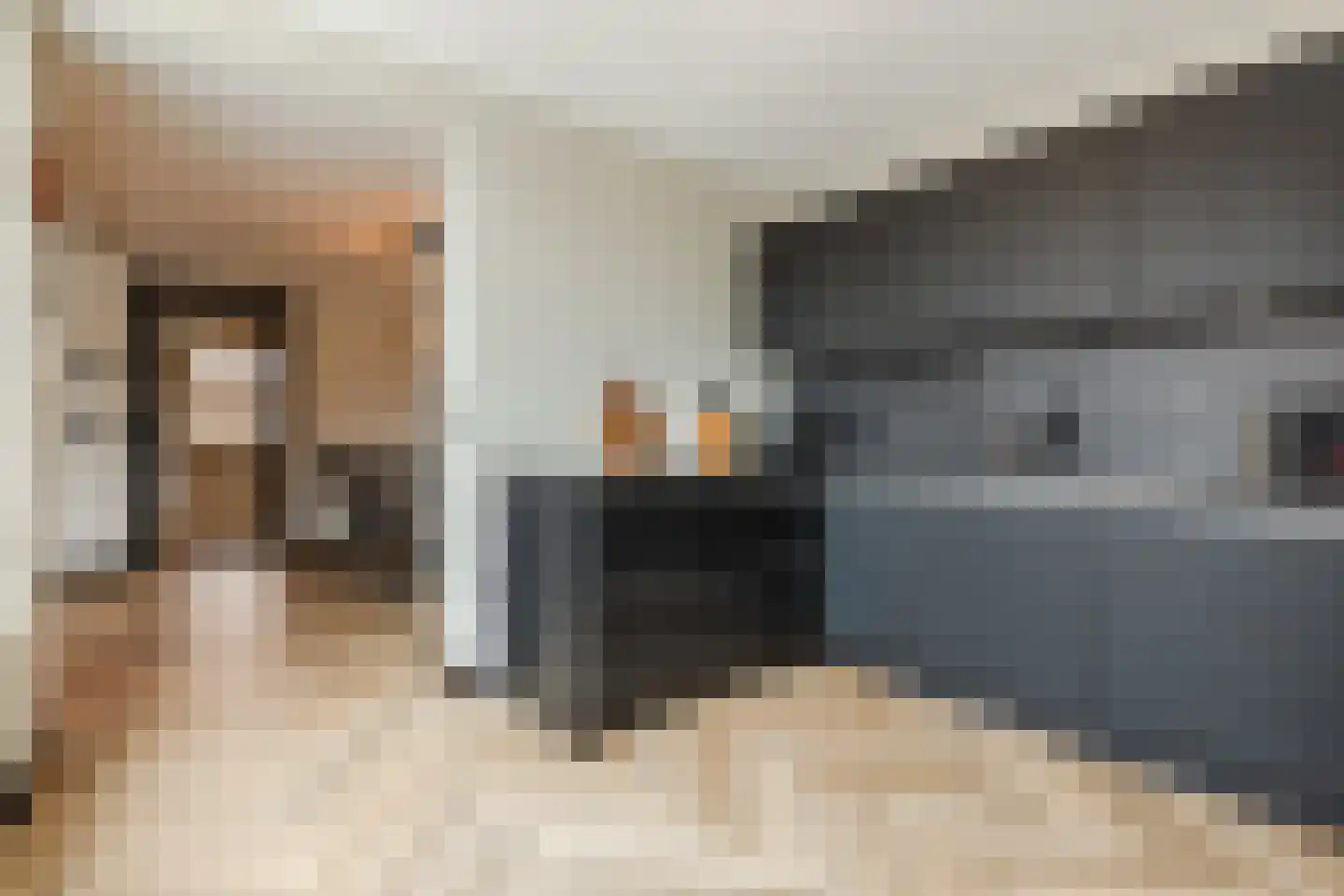 Irenestraat 8 Oud Gastel thumbnail 4