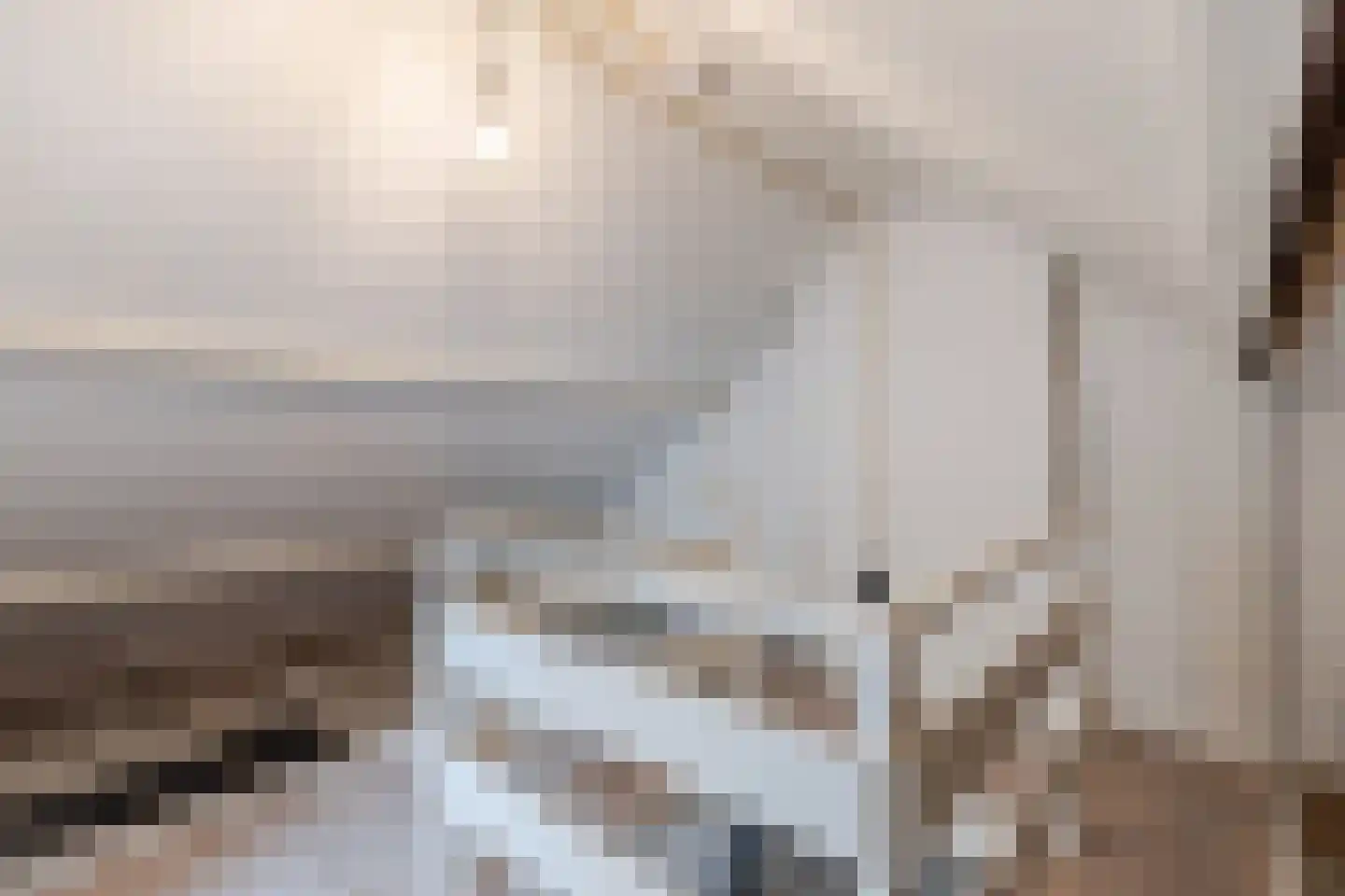 Irenestraat 8 Oud Gastel thumbnail 42