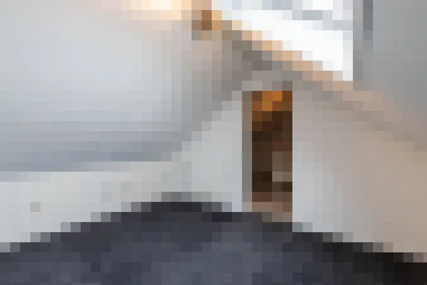 Irenestraat 8 Oud Gastel thumbnail 45