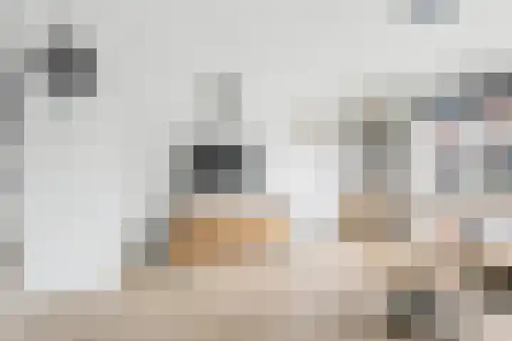 Irenestraat 8 't Zand thumbnail 11