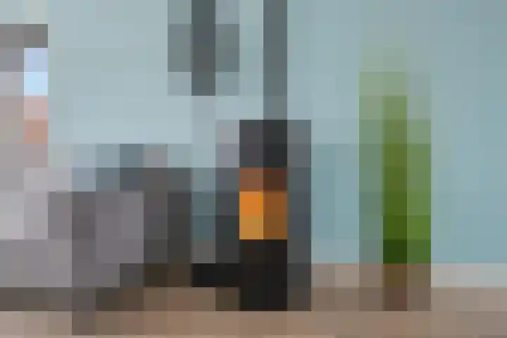 Irenestraat 8 't Zand thumbnail 13