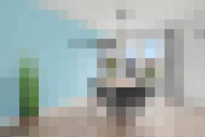 Irenestraat 8 't Zand thumbnail 14