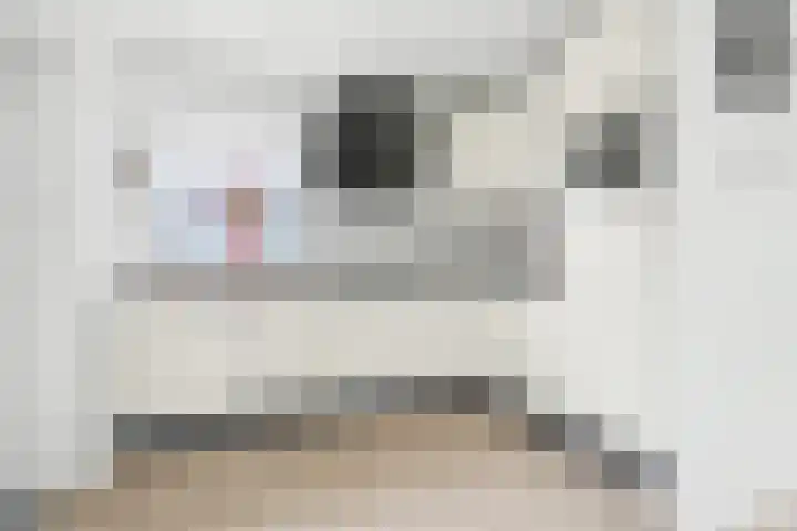 Irenestraat 8 't Zand thumbnail 17
